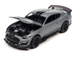 Auto World - 1/64 2021 SHELBY GT500 CARBON EDITION (ICONIC SILVER) AWSP114B B7