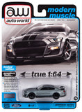 Auto World - 1/64 2021 SHELBY GT500 CARBON EDITION (ICONIC SILVER) AWSP114B B7