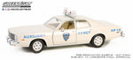 Greenlight 1:24 Hot Pursuit Series 10-1977 Plymouth Fury-(NYPD) Auxilliary-85601